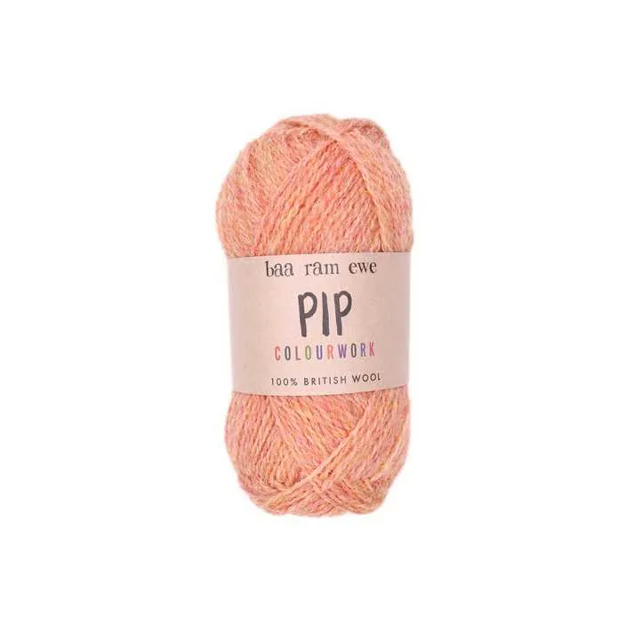 Baa Ram Ewe - Pip Colourwork 4ply Yarn - 25g